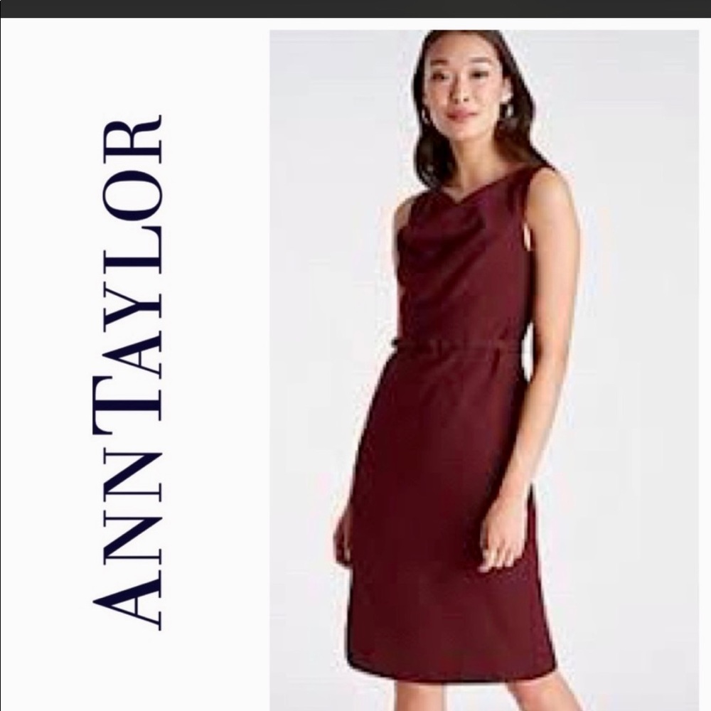 ANN TAYLOR Petite Belted Cowl Sheath Dress Mauve